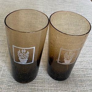 COPY - Pfaltzgraff Naturewood Serenity 16 oz Glasses (2)